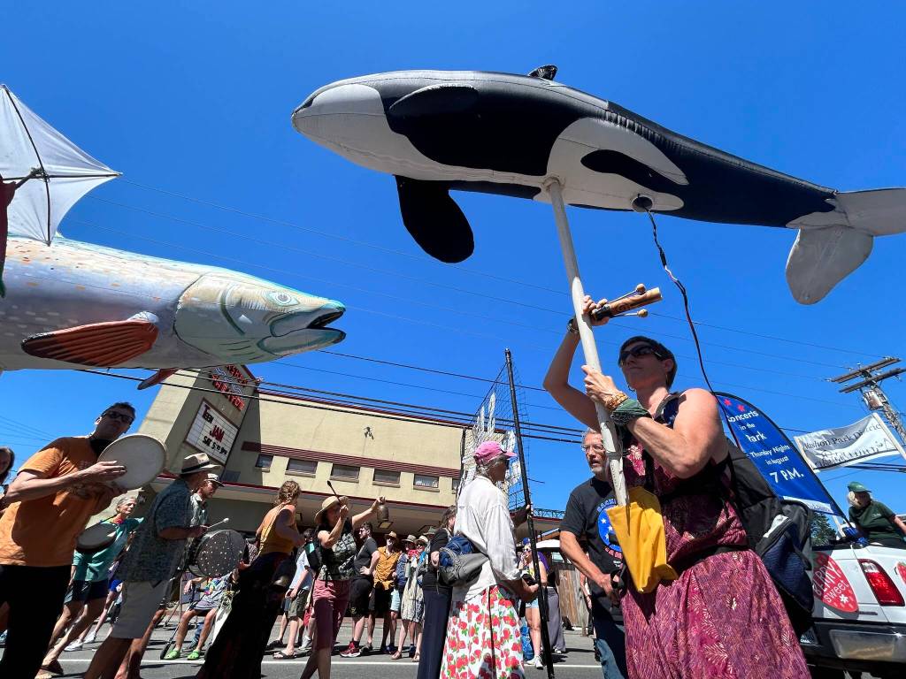 It wouldnt be the Strawberry Festival parade without giant orcas and banners to Save Our Salmon, courtesy of Vashons Backbone Campaign. (Tom Hughes photo)