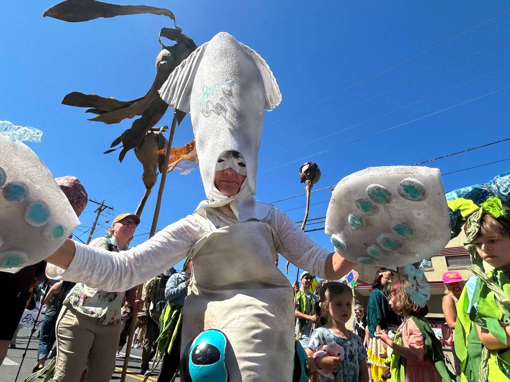 The festival parade once again boasted the splendor of the Vashon Island Marine Band and Procession. (Tom Hughes photo)