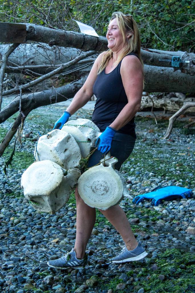 Bianca Perla hauls whale vertebrae from the shores of Vashon Island. (Alex Bruell photo)