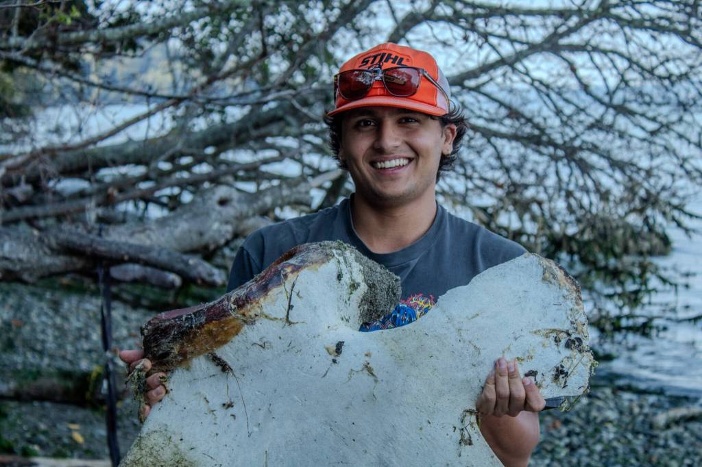 Vashon Nature Center Field Education Specialist Santiago Ramos-Torrescano smiles while holding a scapula (shoulder bone) from the gray whale. (Alex Bruell photo)