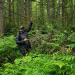 King County senior forester Paul Fischer, in a portion of the forest near the Mukai Pond parking lot earlier this year, describes the logging process at Island Center Forest. (Leslie Brown Photo).