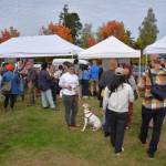 Cider Fest organizers estimated that between 300-500 people attended the event. (Jim Diers photo)