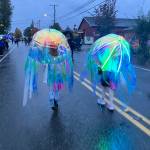 Two jellyfish came prepared for a rainy Halloween. (Elizabeth Shepherd photo)