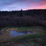 It wouldnt be the holiday season on Vashon without a glimpse of one of the most iconic sights on Vashon: the John Deere Pond, lit up as Rudolph, on SW Cemetery Road. (Ray Pfortner photo)
