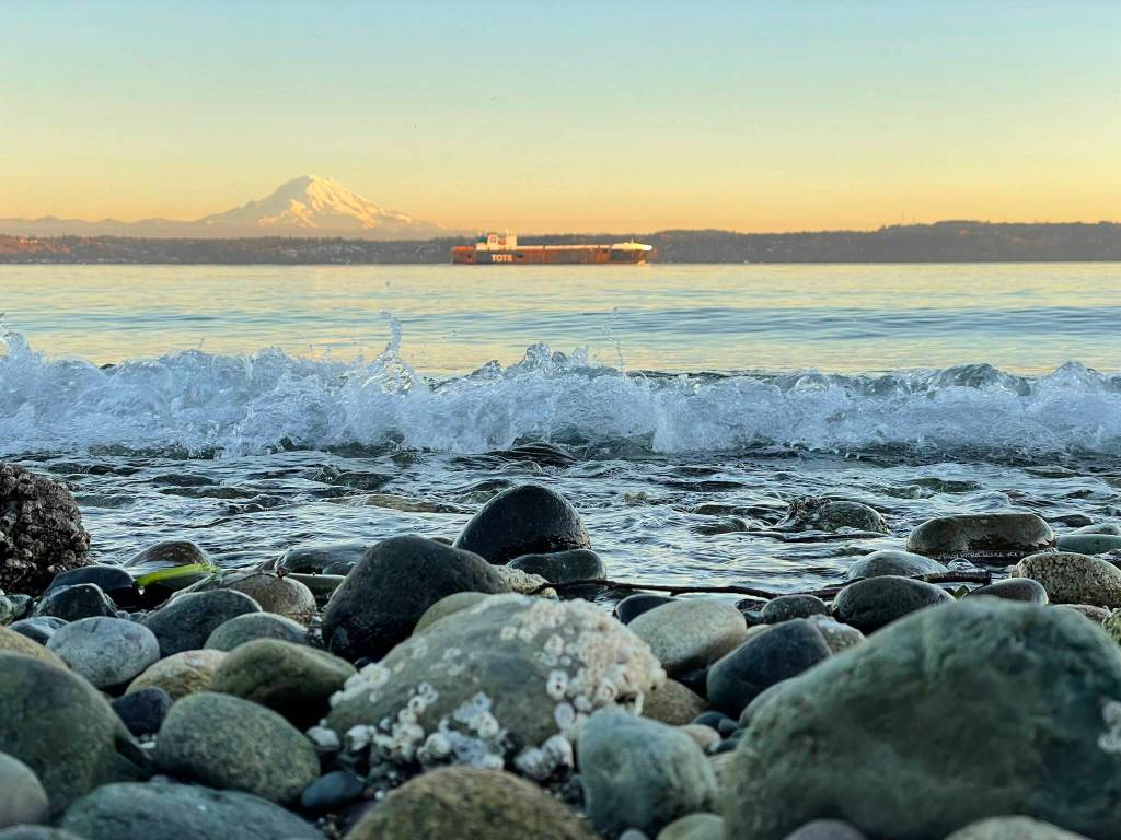 Pugs Eye View, Dockton Forest, a photograph by Corinne Sherry, is part of an exhibit of photography at Vashon Library. (Courtesy photo)
