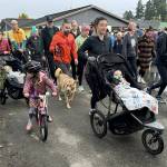 Bruce Cyra photo
Runners set off for the Vashon Running Club's 2024 Turkey Trot.