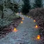 A past luminaria walk on the Land Trust trail. (Courtesy photo)