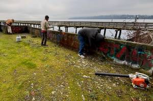 Volunteers from island-based Meade Building Company painted over graffiti at Tramp Harbor and collected litter along the Point Robinson and Lisabuela shorelines on Dec. 4 as part of a company volunteer day. Both the Tramp Harbor Dock and Point Robinson and Lisabeula properties are owned and managed by the Vashon Park District (VPD), whose executive director, Elaine Ott Rocheford, confirmed that Meade had reached out to VPD this fall to volunteer their efforts. (Photo courtesy Bryan Ripka)