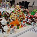 Seek & Find Village by Catherine and Michael Graeb and Dianne Kerwin. (Mari Kanagy photo)