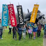 A group of Vashon residents traveled to Olympia on Wednesday, Jan. 15 for the opening week of the 2025 state Legislative session to demand action around breaching the lower Snake River dams. Vashon Green School students and Backbone Campaign provided colorful banners and orca and salmon props as inspiration in these photos shared by Vashon Green School founder and director Dana Schuerholz.
