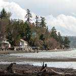 The smell of the sea, the cries of gulls and the sounds of crashing waves; there are many reasons Vashon Islanders might choose to live by the water, such as in this photo taken near Portage, but low-cost property usually isnt one of them. Taxes on non-waterfront homeowners bills will be about 1.5% down from last year. However, folks whose houses are on the waterfront (about a quarter of Vashons houses) will see their bills go up more than 5%, on average. (Alex Bruell photo)