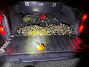 Washington Department of Fish and Wildlife Police photo
The Fish and Wildlife department shared this photo of a truck with clams in its bed in a news release about a group of clamdiggers cited for multiple clamming violations. A total of 1,255 clams, weighing 108 pounds, were seized from the group.