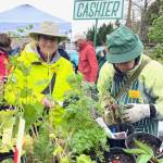 Plant Sale shoppers enjoy the Garden Club event at a previous plant sale. (Courtesy photo)