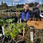 Dig and Divide 2025. (Courtesy photo)