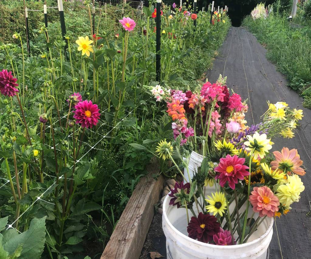 Aeggys Farm is a gardeners paradise with 120 laying hens. (Courtesy photo)