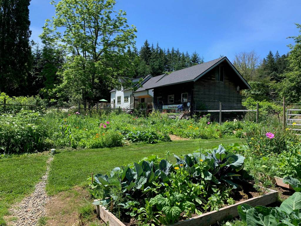 Littlest Bird Farm features poultry, sheep, pork, blueberries, flowers, and vegetables on 5.7 acres. (Courtesy photo)