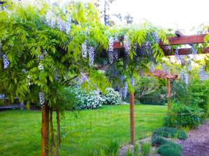 Courtesy photo
Find peace at Madrona Meadows, the idyllic and pastoral property of Sue and Scott DeNies, with blooming flowerbeds galore and a serene pond surrounded by mature forest and plenty of wildlife.