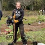 Lena Puz plants trees with the Vashon Nature Center and Vashon-Maury Island Land Trust at a Land Trust preserve. She and other advanced placement environmental science students at Vashon High School planted more than 300 trees to restore a developed property adjacent to a salmonid-bearing stream. Students also collected data to record how their project would improve the rural communitys carbon sequestration rates. (Vashon Nature Center photo)