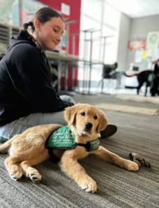 Courtey photo
Willa Lee and her dog.