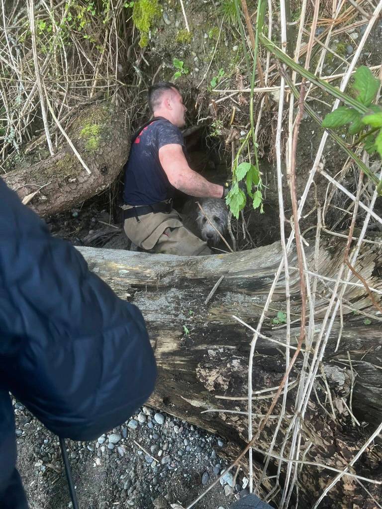 Firefighter Brad Mullen, bringing Jazzy out of the tunnel. (Courtesy Photo)