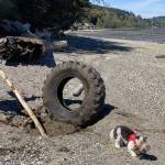 Help the Vashon Rotary Club and island environmental groups clean up tires like this one by locating and/or unearthing tires, then reporting them (with photos and locations) to Steve Bergman at scbergmanvashon@gmail.com. (Courtesy photo)