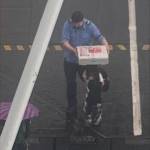 Washington State Ferries last week shared this photo of Sailor Evan Tarbell, who while picking up a pizza for his crew at Vashons north end ferry terminal, used the pizza box as a makeshift umbrella for a student boarding the ferry during a sudden downpour. In that moment, he showed care, creativity and a clear sense of responsibility – not just to his team, but to the community we serve, WSDOT Deputy Secretary for WSF Steve Nevey said in a statement. (WSF Captain Clinton Jones photo)