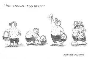 Egg hunts are an Easter tradition, including on Vashon, which saw a mob of kids take Ober Park last weekend at the Park District's annual event to carefully capture the many hundreds of plastic eggs left for them. But there's another kind of creature on Vashon well-known for its ingenuity and dexterity when it comes to finding eggs and other snacks: the common North American raccoon. Securing waste containers and chicken coops is a good way to send these crafty omnivores looking elsewhere for dinner.