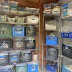 Vashons dish lending library provides free use of dishware to reduce waste on the island. (Courtesy photo)