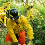 VIFR firefighters trained last week on wildfire weather and firefighting tactics. In this module, a chainsaw operator works with an assistant to cut and remove brush, followed by four firefighters with hand tools clearing remaining vegetation down to mineral soil to help stop a fires spread. This crew includes two members of the new VIFR Wildland Firefighting Team: Josh Hernandez in the foreground and AJ Avila in the background in black helmets. (Rick Wallace photo)