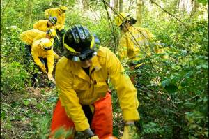 VIFR firefighters trained last week on wildfire weather and firefighting tactics. In this module, a chainsaw operator works with an assistant to cut and remove brush, followed by four firefighters with hand tools clearing remaining vegetation down to mineral soil to help stop a fires spread. This crew includes two members of the new VIFR Wildland Firefighting Team: Josh Hernandez in the foreground and AJ Avila in the background in black helmets. (Rick Wallace photo)