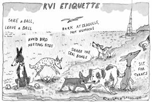 Michelle Lassaline cartoon
KVI Beach is an unusual spot on Vashon: Privately owned with allowed public access, it's also home to some of the only sandy shores on Vashon, and a variety of critical habitats, including Puget Sound salt marsh. The beauty and privilege that comes with access to such gems also brings responsibilities for humans and canines alike, who should both keep their distance from animals like elephant seals, seals and other resting marine mammals at all of Vashon's beaches. Dogs need to be restrained from interfering with those animals or with bird nesting sites. Don't collect marine mammal parts unless it's specifically legal to do so, and check with NOAA for details on those regulations, which require that any bones collected from a non-endangered marine mammal be taken only after its soft tissue has decomposed. Those parts must also be identified and registered with the local NOAA fisheries office, and can't be bought or sold. Parts from any threatened or endangered species cannot be collected without a permit from NOAA. For more information, call the marine mammal stranding hotline at 866-767-6144.