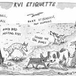 Michelle Lassaline cartoon
KVI Beach is an unusual spot on Vashon: Privately owned with allowed public access, it's also home to some of the only sandy shores on Vashon, and a variety of critical habitats, including Puget Sound salt marsh. The beauty and privilege that comes with access to such gems also brings responsibilities for humans and canines alike, who should both keep their distance from animals like elephant seals, seals and other resting marine mammals at all of Vashon's beaches. Dogs need to be restrained from interfering with those animals or with bird nesting sites. Don't collect marine mammal parts unless it's specifically legal to do so, and check with NOAA for details on those regulations, which require that any bones collected from a non-endangered marine mammal be taken only after its soft tissue has decomposed. Those parts must also be identified and registered with the local NOAA fisheries office, and can't be bought or sold. Parts from any threatened or endangered species cannot be collected without a permit from NOAA. For more information, call the marine mammal stranding hotline at 866-767-6144.