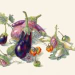 Heirloom Eggplants, by Jean Emmons, is included in an exhibit of the artists work at Vashon Center for the Arts. (Courtesy photo)