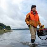 Microsoft employee and Seattle resident Marvin Xu, carrying two different kinds of seaweed, splashes through the water at Lisabuela park on a Memorial Day quest for more of the edible marine algae and plants. Dont take the eelgrass, he pointed out. Its protected and also home to many marine organisms. (Alex Bruell photo)