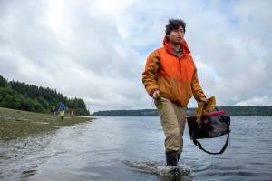Microsoft employee and Seattle resident Marvin Xu, carrying two different kinds of seaweed, splashes through the water at Lisabuela park on a Memorial Day quest for more of the edible marine algae and plants. Dont take the eelgrass, he pointed out. Its protected and also home to many marine organisms. (Alex Bruell photo)