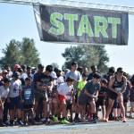 The start of the 5K/10K race at Maymoor Park during Seattle Orcas Fan Fest. Ben Ray / The Reporter