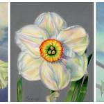 Details from Jean Emmons paintings, (left to right) Iris Secret Rites, Narcissus Goose Green, and Rosa Westerland. (Courtesy Photos)