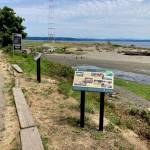 Steve Bergman photo
New Ellisport Hidden History Heritage trail signs can be seen at the entrance to KVI beach.