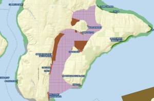 This map from the state Department of Health shows the area in Quartermaster Harbor (the red criss-cross grid) in which shellfish harvesting is temporarily closed due to high levels of paralytic shellfish poison.