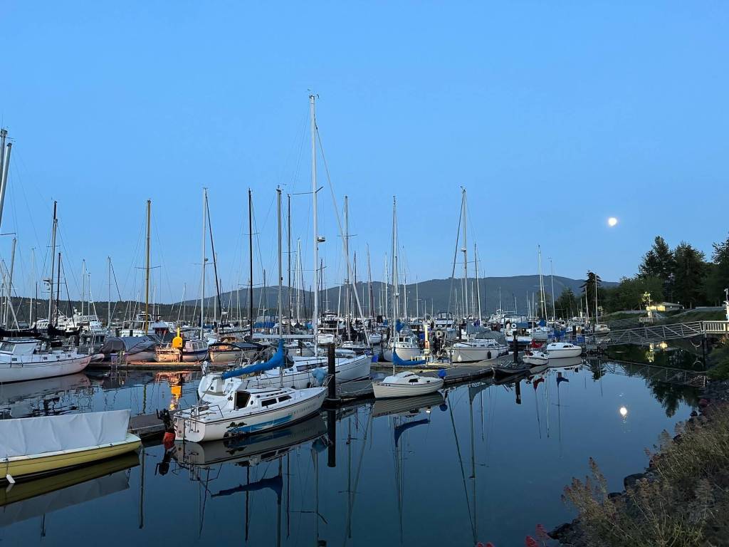 PSCCU Carr_Diane_Moonlit_Harbor