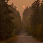 People with compromised health can be especially affected by the fine smoke particles that can penetrate deeply into the lungs. In addition to this article, you can learn more by visiting the VashonBePrepared website at <a href="http://www.vashonbeprepared.org/hazard/smoke" target="_blank">vashonbeprepared.org/hazard/smoke</a>. (Terry Donnelly photo)