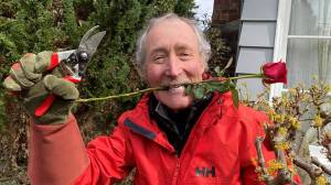 PNW horticulturist Ciscoe Morris will deliver a talk on Thursday, August 14 on all things gardening at Vashon Theatre.