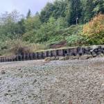 The county will remove 400 feet of bulkhead from a stretch of beach just north of Lost Lake on the southern end of Vashon. (King County Photo)