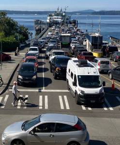 With no control officer on duty, vehicles unloading from the ferry at the Fauntleroy ferry terminal wait to turn onto Fauntleroy Way SW at midday Friday, Sept. 19. (Eric Pryne Photo)