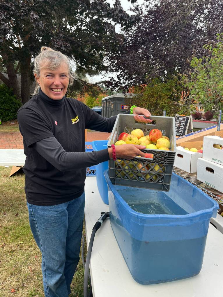 A grower from Shoreline prepared apples for pressing at CiderFest. (Abby Antonelis Photo)