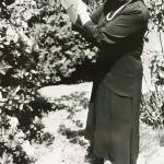 Debbie Dimitre, as Eleanor Roosevelt (Courtesy Photo)