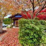 The Beachcomber office is lined with a path of fallen leaves on Tuesday, Oct. 28. (Aspen Anderson Photo)