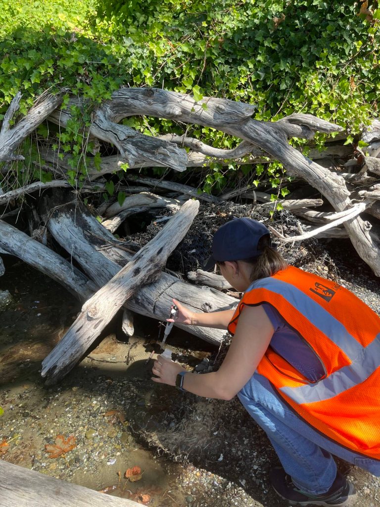 For the next six months, teams from Public Health - Seattle King County will collect water samples from Manzanita springs, streams and storm rains. (Public Health – Seattle King County Photo)