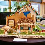 Blue Heron, by VCA staff. (Aspen Anderson Photo)