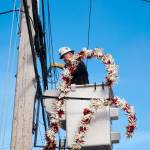 Terry Donnelly Photo
Wes Peterson installs and wires candy cane decorations Dec. 2024.